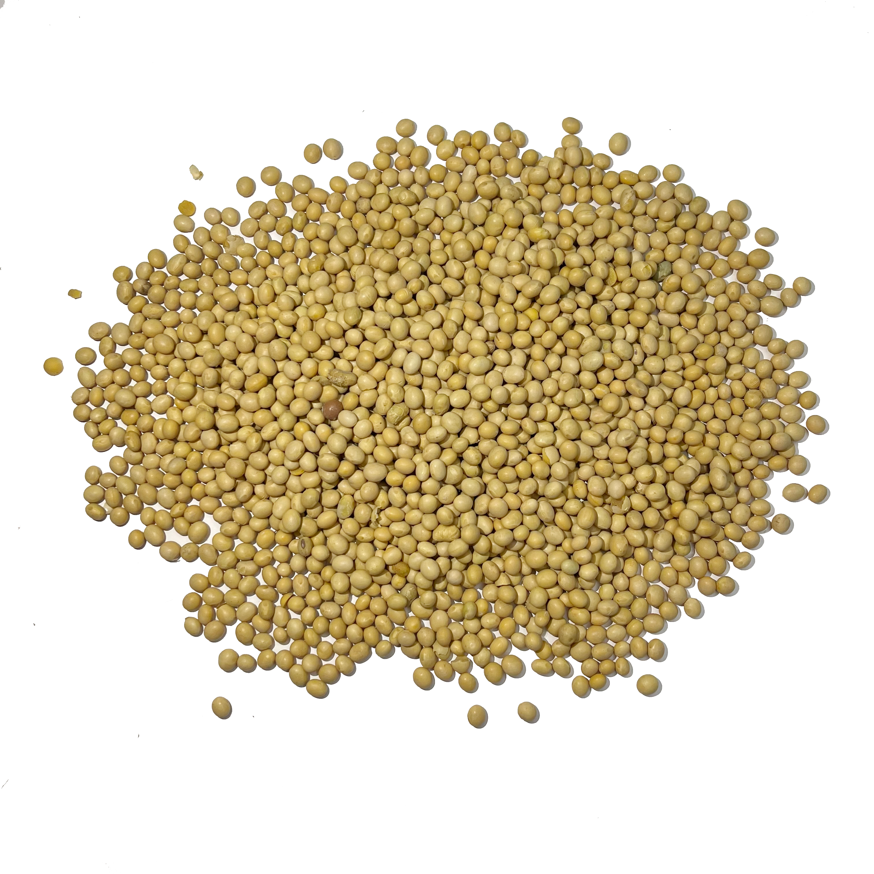 Soybeans